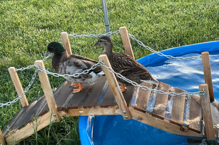30 Things Under $50 That’ll Help You Make Your Backyard Your Own Personal Oasis