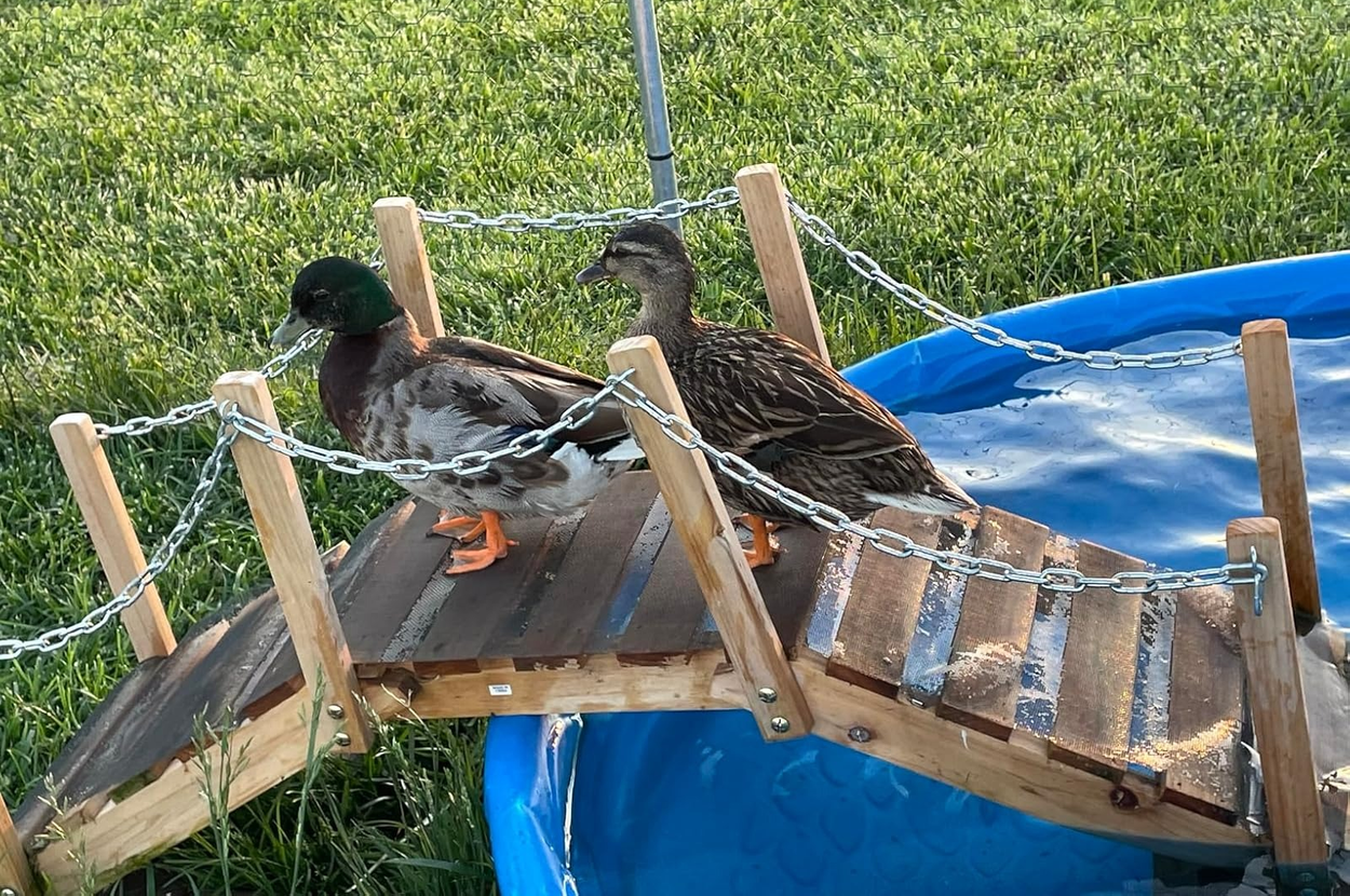 30 Things Under $50 That’ll Help You Make Your Backyard Your Own Personal Oasis