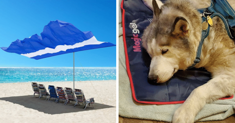 22 Heatwave Hacks That Will Convince You Summer Doesn’t Have To Be Miserable