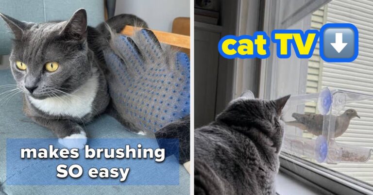 Just 16 Products My Picky Cats Personally Love