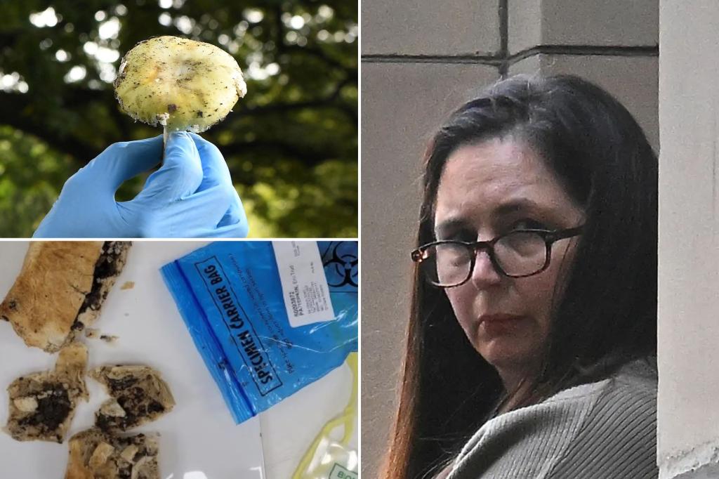 Australian mushroom murderer Erin Patterson allegedly attempted to kill husband with poisoned pasta