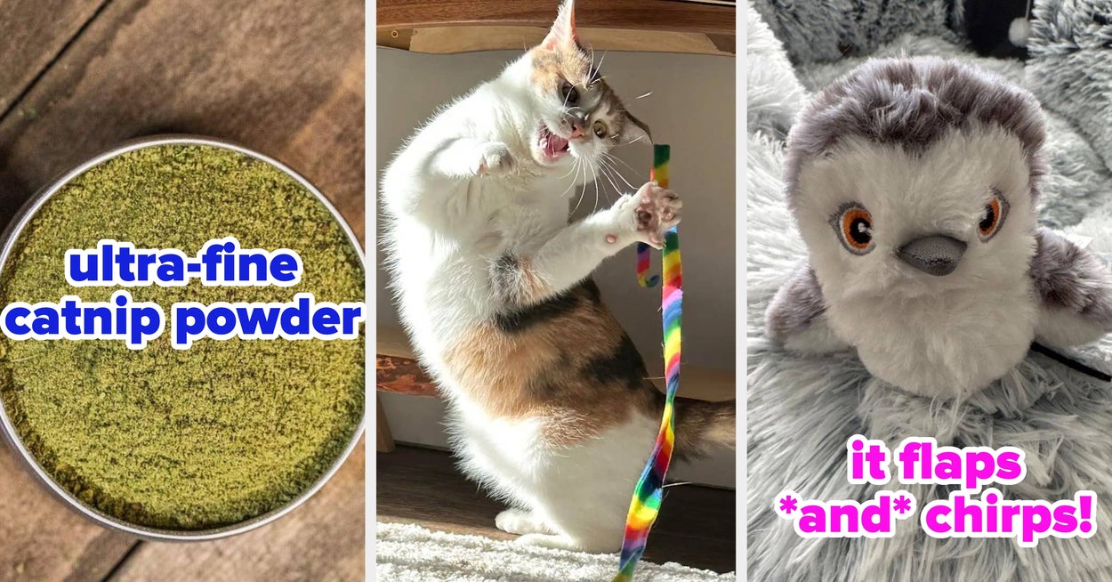 I Swear By These 16 Things For My High-Energy Kitty And You Should, Too