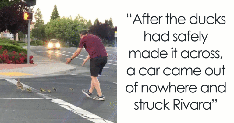 “Photos Taken Before Disaster”: 35 Pictures That Foreshadow Unfortunate Events