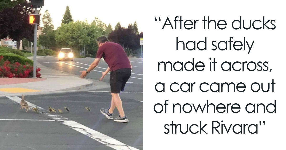 “Photos Taken Before Disaster”: 35 Pictures That Foreshadow Unfortunate Events