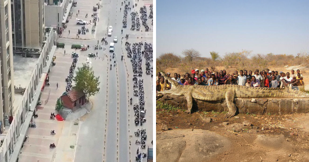 90 Random Creepy Facts And Pictures To Deprive Somebody Of Sleep