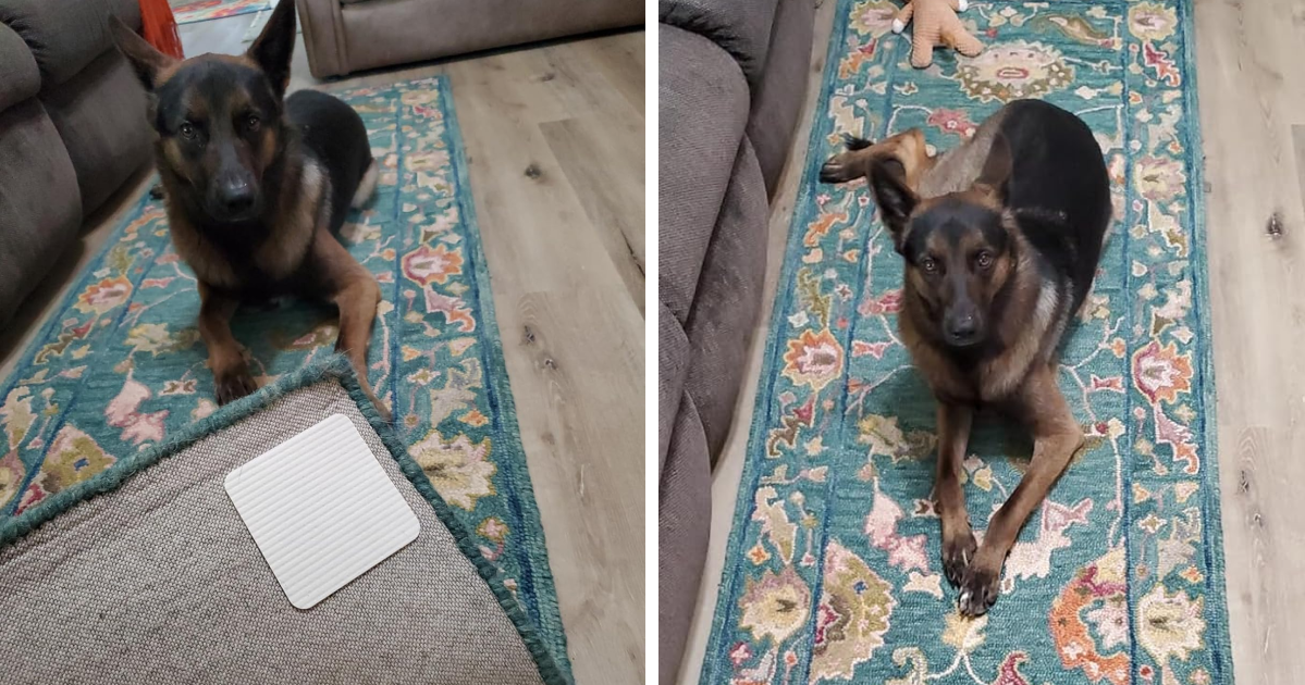 Your Daily Annoyances Are No Match For These 20 Clever Finds Under $20