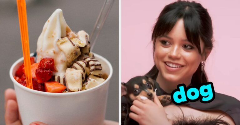 Customize A Bowl Of Froyo To Your Liking And I'll Guess Your Dream Pet