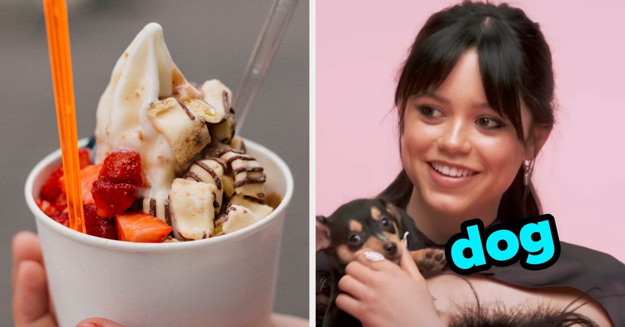 Customize A Bowl Of Froyo To Your Liking And I'll Guess Your Dream Pet