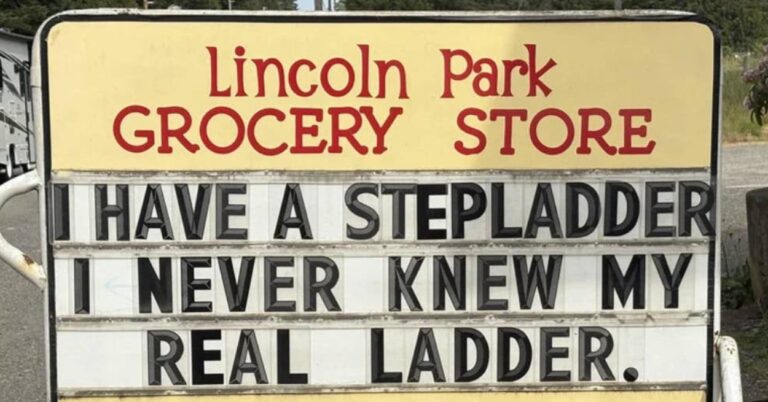 Your Therapist Said You Need More Joy, So I Rounded Up 23 Of The Most Hilarious Signs We Found This Month