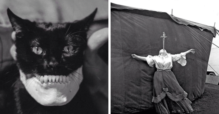 94 Weird History Pics That May Change How You See The Past