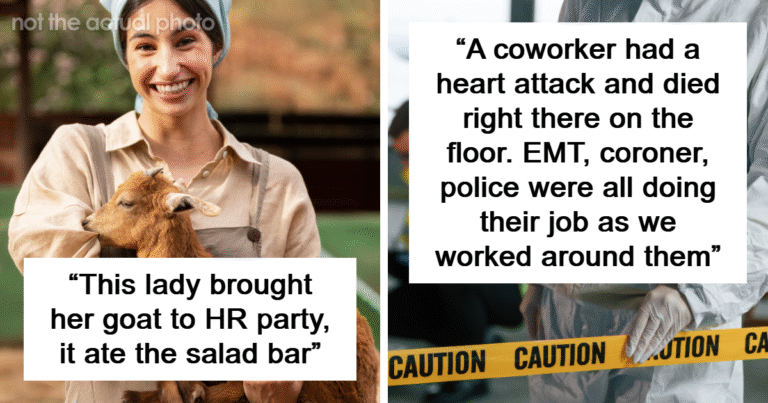 These 68 People Should Be Paid Bonuses For The Absolute Madness They Had To Witness At Work