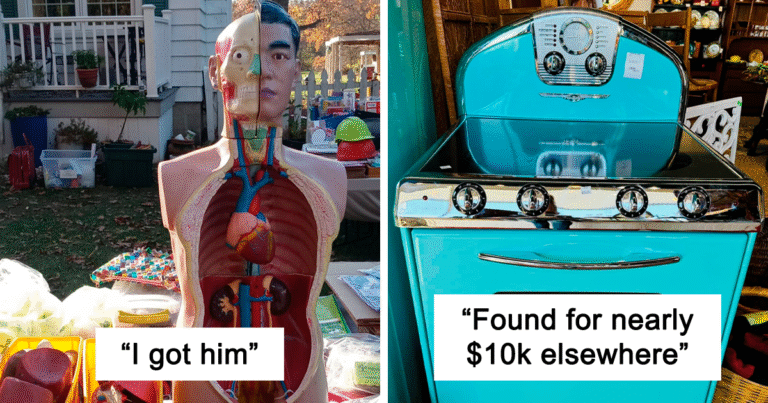 29 Times People Struck Gold When Shopping Secondhand