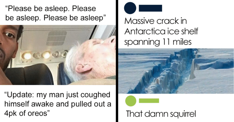 38 Times A Comment Was So Good, It Made Its Way Onto The ‘Comment Awards’ Instagram Account