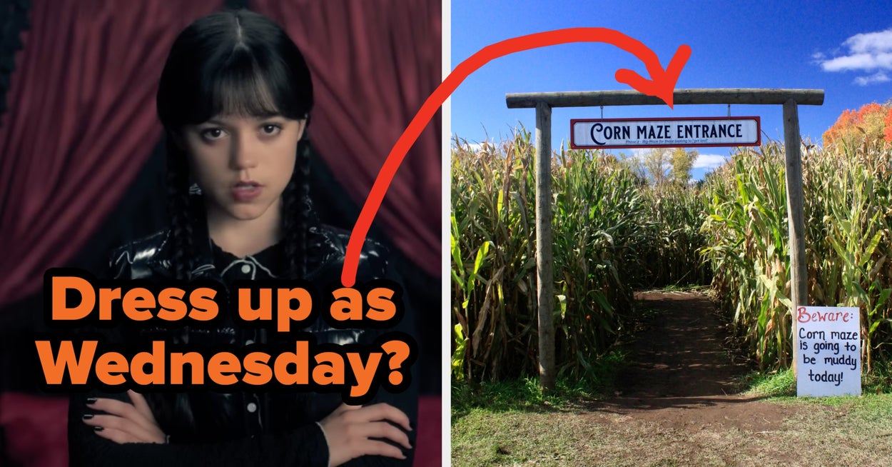 Choose Between These Halloween Costumes To Find Your Perfect Fall Activity