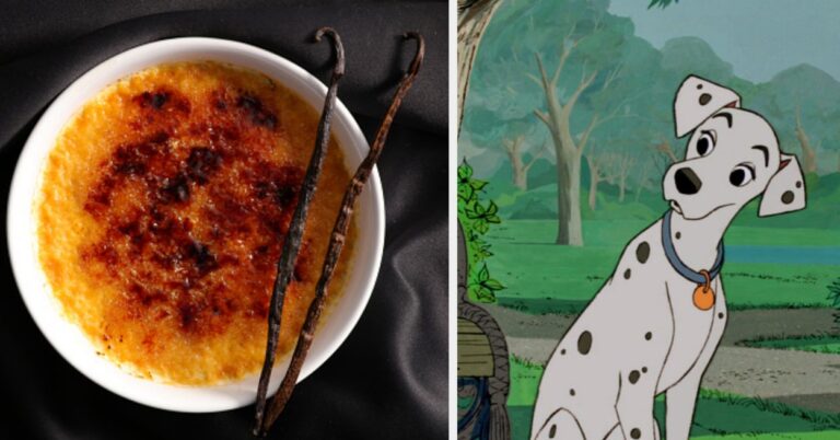 Your Sweet Tooth Choices Will Reveal The Dog Breed That Matches Your Soul 100%