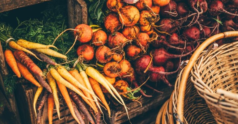 Make Some Choices And I'll Tell You Which Harvest Veggie You Are