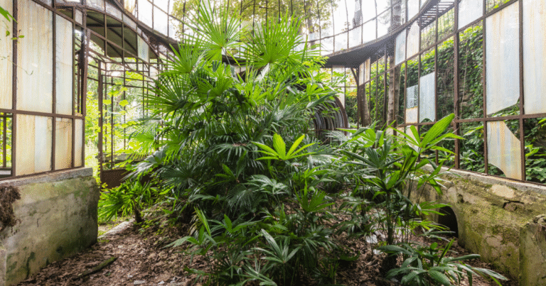 “Secret Gardens”: I Photographed Abandoned Greenhouses Around The World (19 Pics)