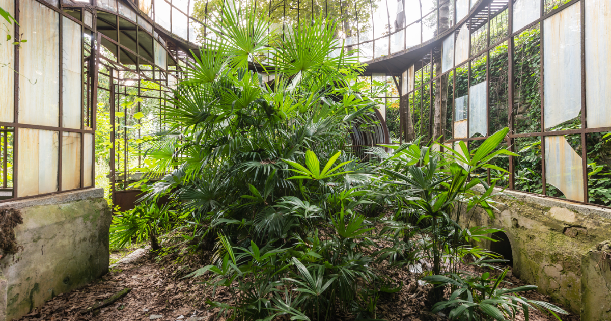 “Secret Gardens”: I Photographed Abandoned Greenhouses Around The World (19 Pics)