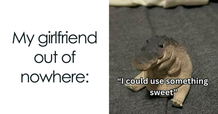 141 Wholesome Relationship Memes That Are Beyond Relatable