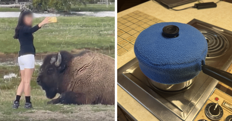 “Anything Is Edible Once”: 92 People Who Came Close To Death And Didn’t Even Realize It