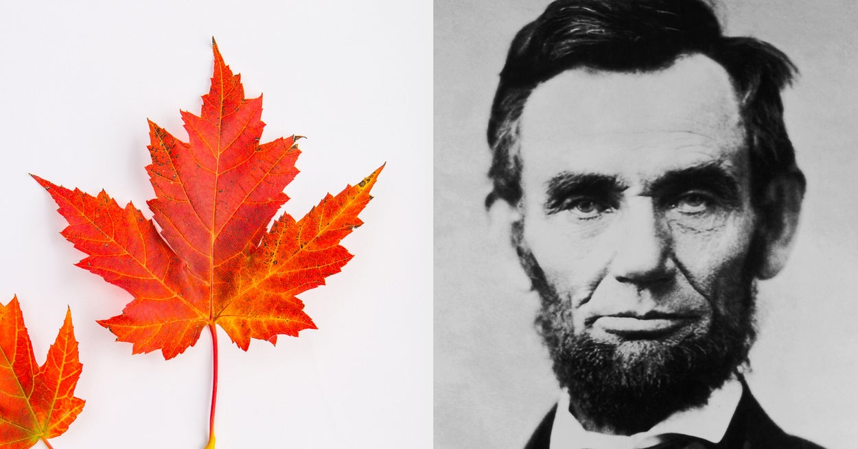 Can You Pass This Autumn Trivia Quiz?