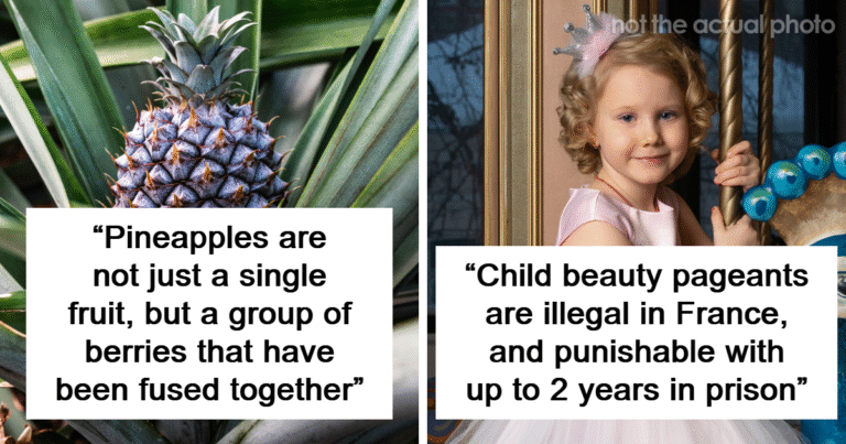 47 Entries From ‘Mind Blowing Facts’ That Live Up To The Name