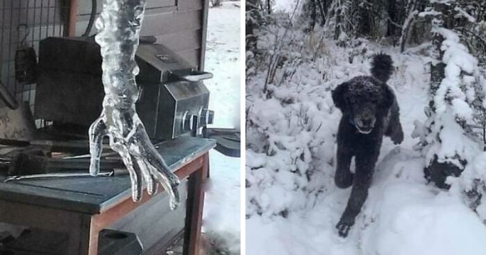 46 Times People Experienced A Serious Case Of Pareidolia And Documented It Online