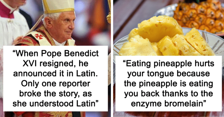 32 Interesting Things People Didn’t Learn At School And Decided To Share Them In This Online Group