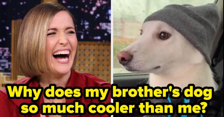 50 Hilarious Viral Photos I Somehow Totally Missed