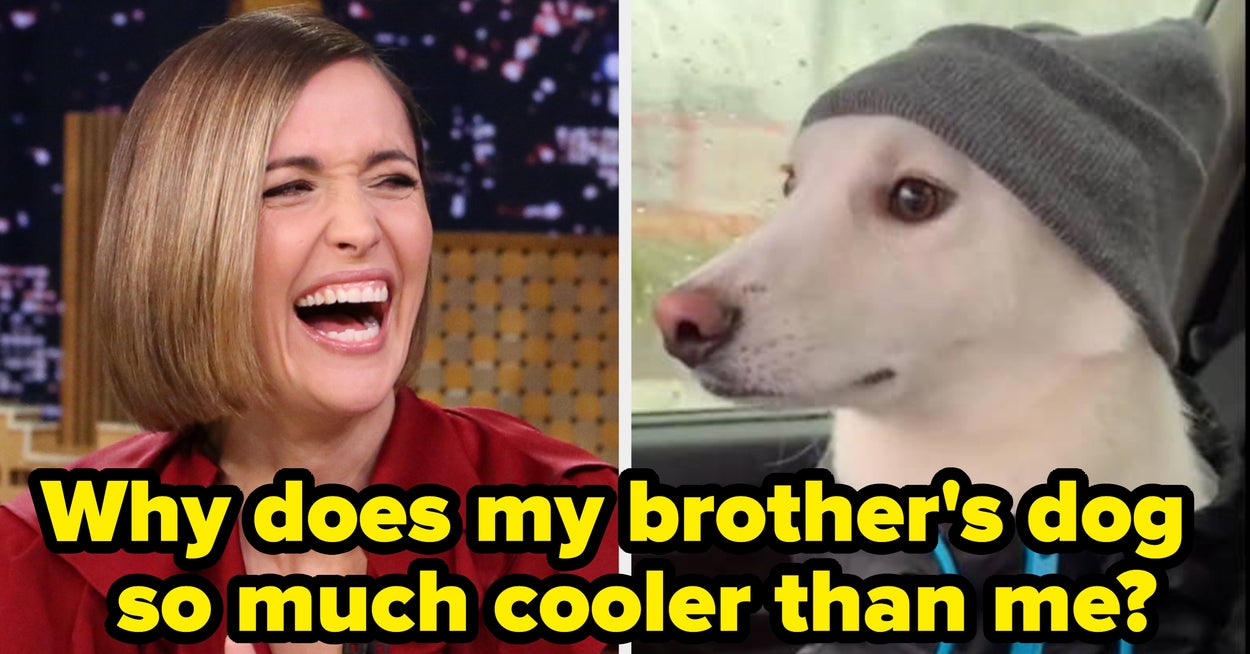 50 Hilarious Viral Photos I Somehow Totally Missed