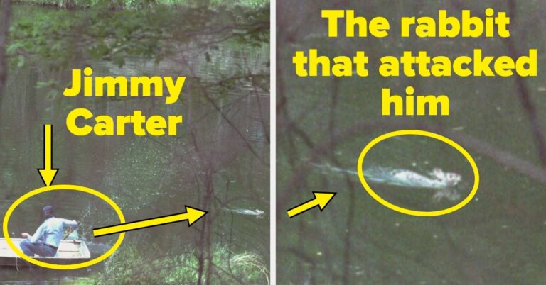 "Your Brain Just Ignores It" — 21 Fun Facts That Sound Fake But Are Actually Verifiably Real