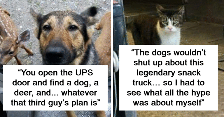 145 Times UPS Drivers Met Adorable Pets And Couldn’t Help But Brag (New Pics)