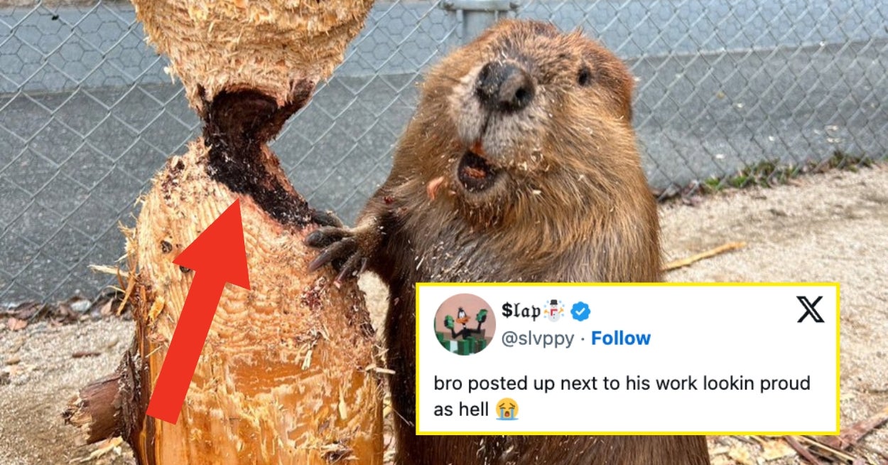 24 Tweets So Funny They’ll Cast A Very Needed Laughter Spell On You