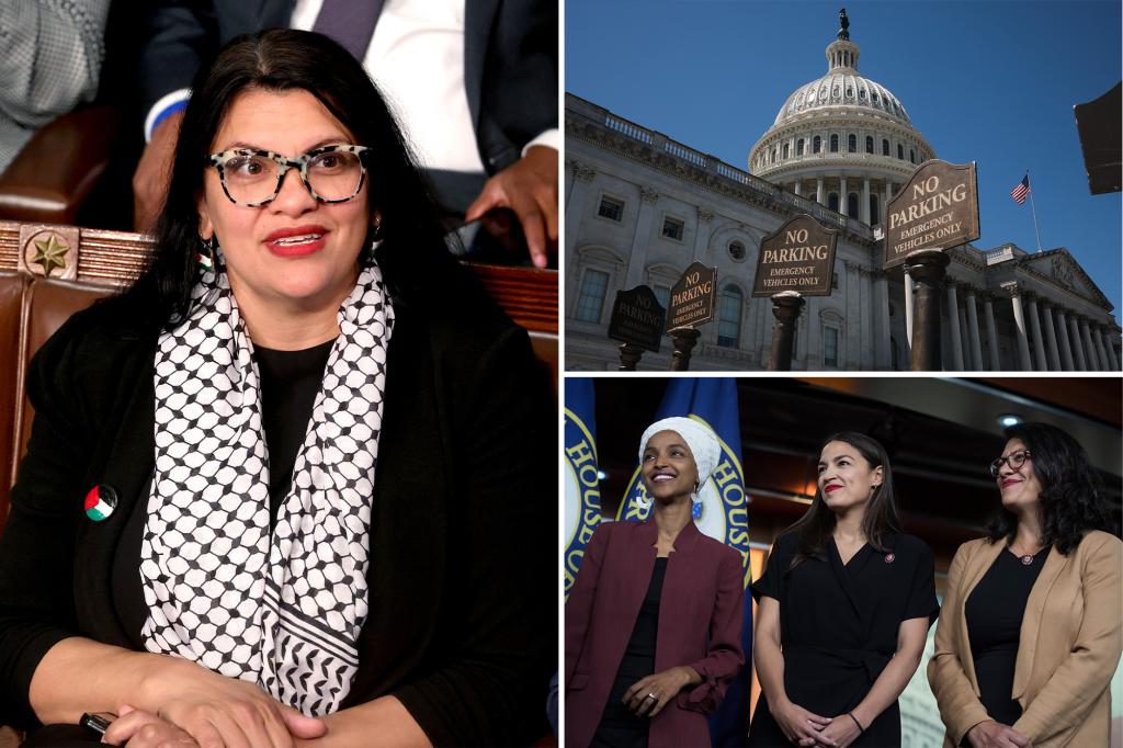 ‘Squad’ Dem Rep. Rashida Tlaib spends eye-popping amount on luxury limo services in one year