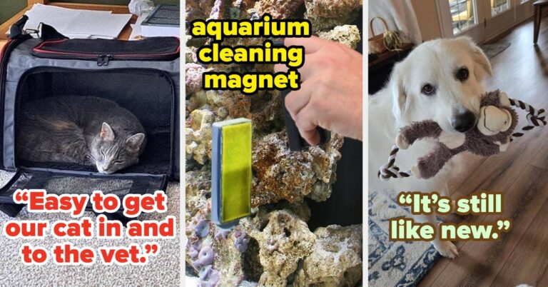 27 Things From Chewy With Such Great Reviews, You May Want To Own Them Yourself