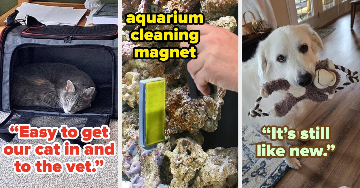 27 Things From Chewy With Such Great Reviews, You May Want To Own Them Yourself