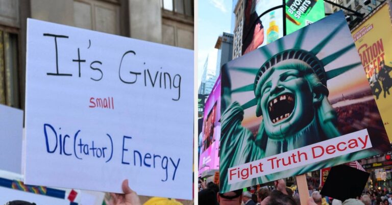 These 23 Signs From The "No Kings" Protests Are So Clever They Should Be Framed