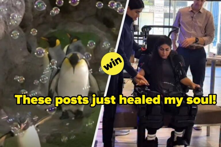 18 Wholesome Posts That Will Instantly Make Your Entire Week Better, And I'm Not Even Exaggerating