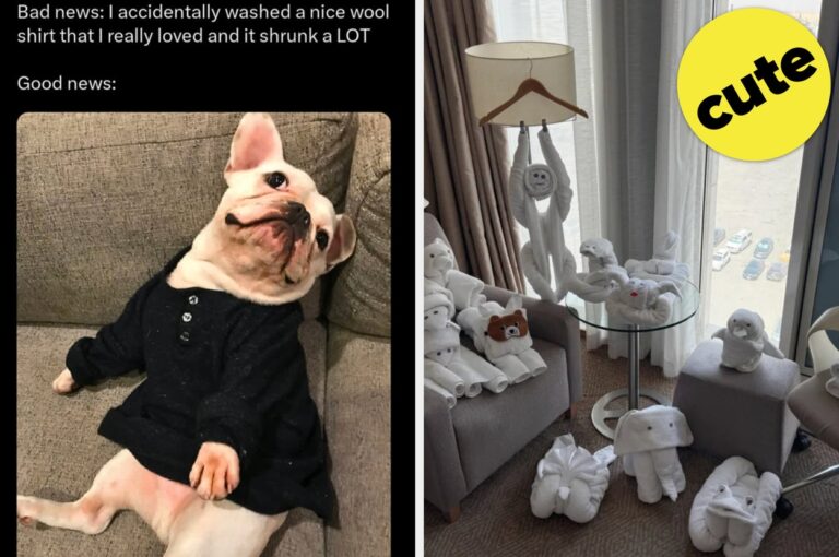 Need A Mood Boost? These 20 Wholesome Posts Have You Covered