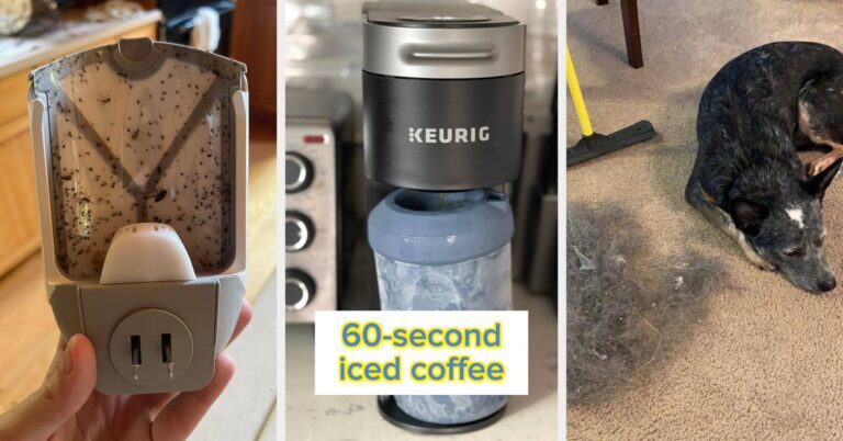 32 Home Items So Worth Your Time And Space, They Won’t Ever Get Chucked In A Pre-Move Purge