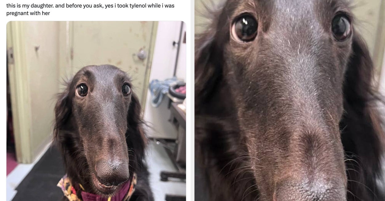 I Haven't Stopped Cackling At These 18 Wildly Hilarious Women's Tweets From September