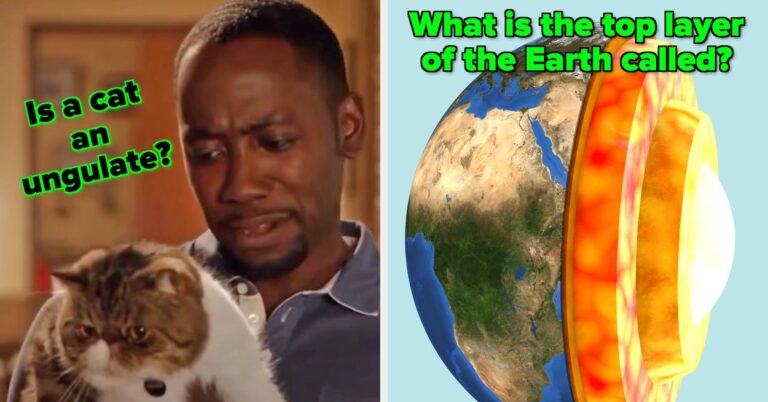 Only The Smartest Of The Smart Can Ace This Multi-Subject Science Quiz