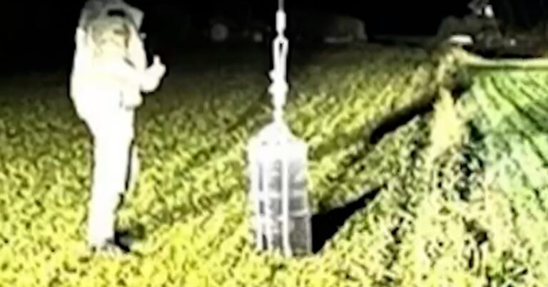 Hot air balloons smuggle cigarettes into Lithuania