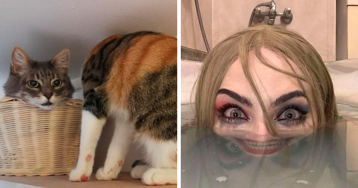 91 Pics That Came Out So Weird, They Became Blessed And Cursed All At Once