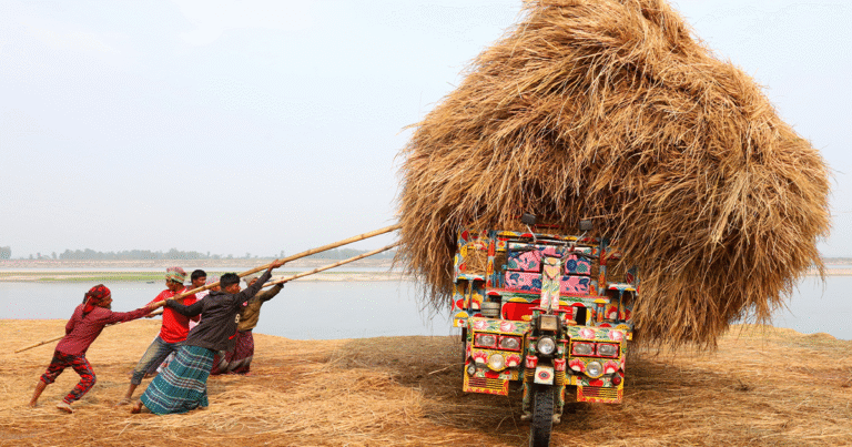 Discover Top 9 Breathtaking Images That Won The 2024 Travel Photography Awards