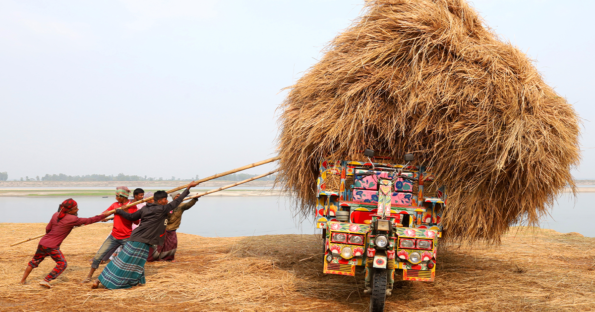 Discover Top 9 Breathtaking Images That Won The 2024 Travel Photography Awards