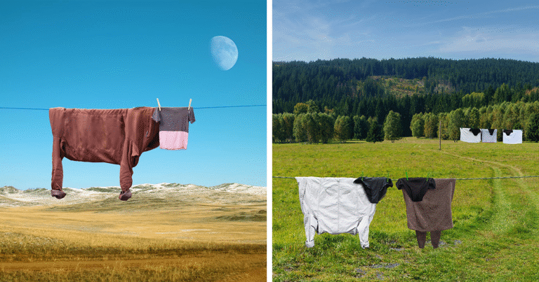 This Artist Created 21 Playful Animals From Laundry And Captured Them In Picturesque Landscapes