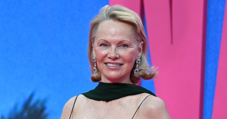 Pamela Anderson Just Ditched Her Iconic Blonde Hair, And You Need To See Her New Look