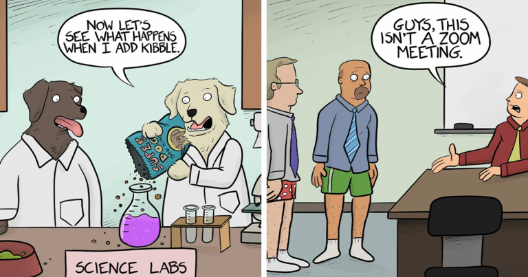 80 Funny Single-Panel Comics That Capture Life’s Quirks (New Pics)