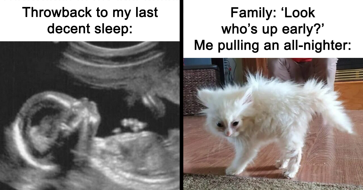 77 Funny Insomnia Memes For When Your Brain Won&rsquo;t Just Shut Up And Cooperate